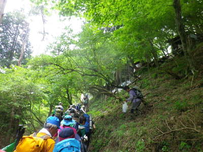 清掃活動 