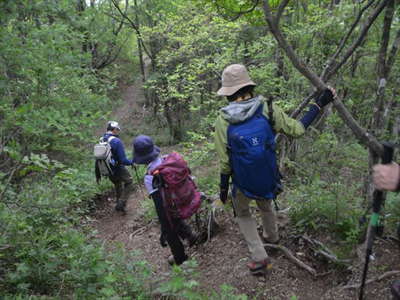 鍵掛峠への下り 