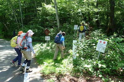 天神峠の登山口