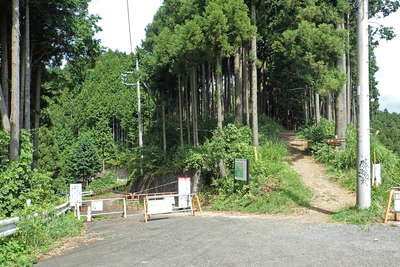 梅の木峠、奥多摩側は通行止め