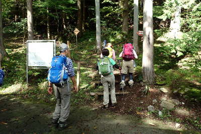 トチノキ広場から山道