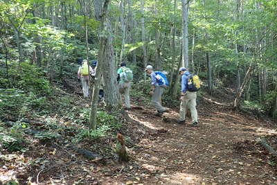 雑木林の登山道を登り