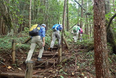 山頂への階段の登り