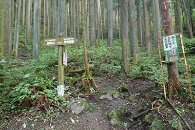 舗装道路脇の登山口