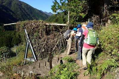 電気柵の扉を開け山道へ