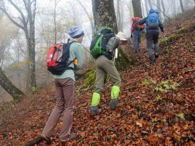 落ち葉を踏んで大室山の山頂間近 