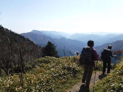 八紘嶺からの下り