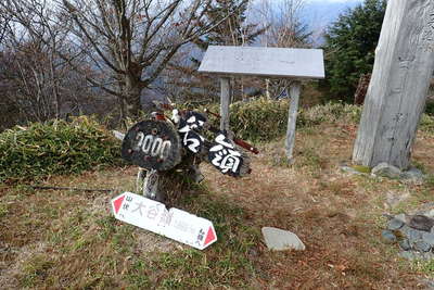 大谷嶺の山頂