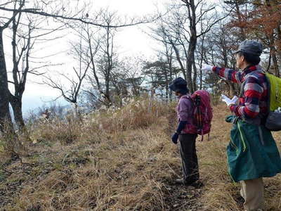 櫟山から秦野市街を眺める 