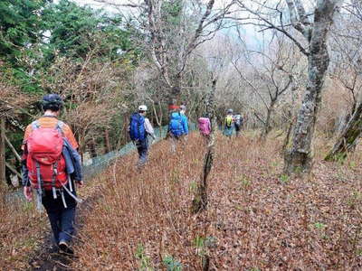 栗ノ木洞の尾根道 