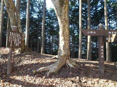 物見峠からの分岐