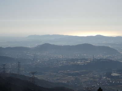 菜の花台から高麗山方面