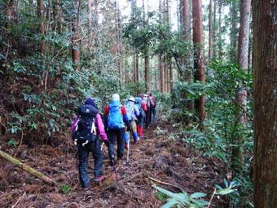 植林地の作業道を行く