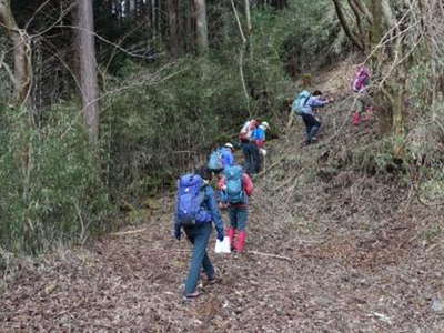 上総川橋から作業道を上がる