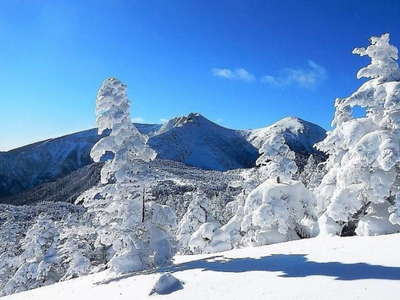 中山樹林帯を抜け天狗岳を望む