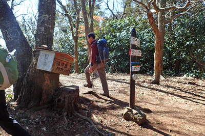 大平山山頂