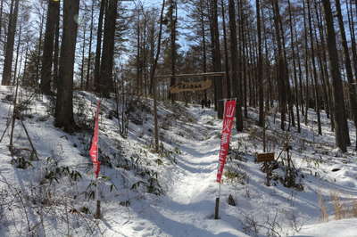 分抗平登山道入口