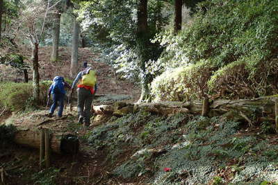 丸山公園から