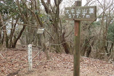 大平山の山頂