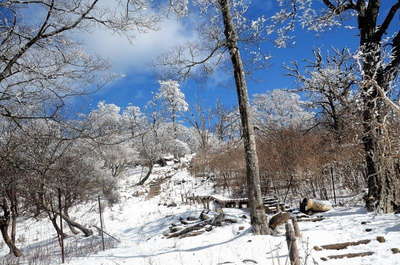 檜洞丸頂上付近の雪