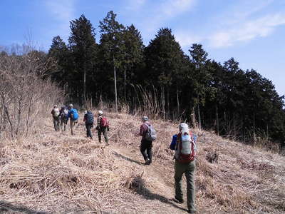 権現平の山道