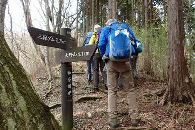 大野山への分岐