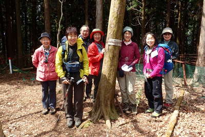 日影山の山頂