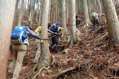 樹林帯を登って