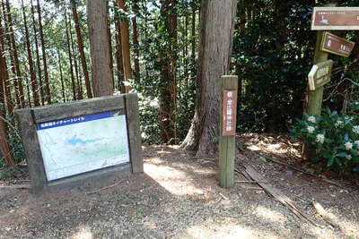 金比羅神社跡の広場