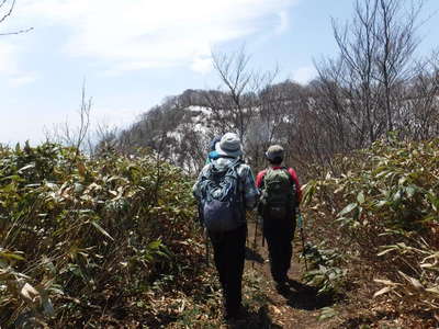 樹林帯の向こうに残雪 