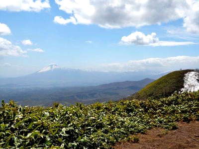 昨日登った岩手山が見える