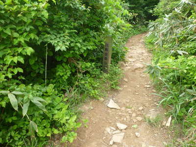 登山口の道標