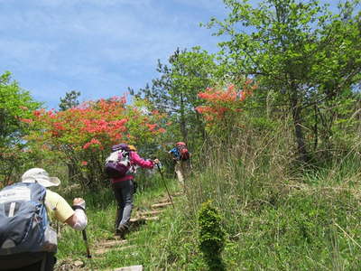 天女山へ 