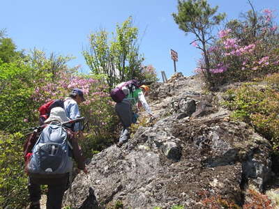 花の天狗山へ 