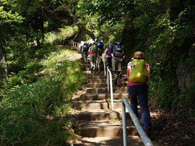 登山口からの長い階段