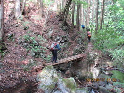 ハチザス沢の丸木橋 