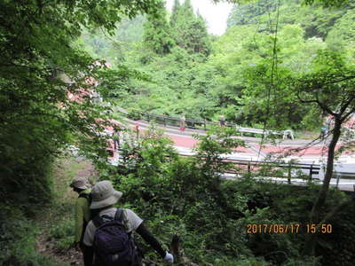 蜂巣沢橋に出る 