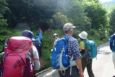 新道峠へと向かう林道を歩き 