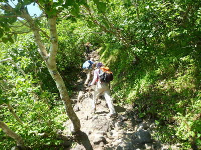 登山道も岩っぽくなってきた