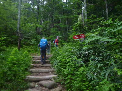 歩きやすい登山道