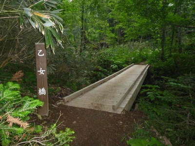 ポン山分岐を過ぎると乙女橋