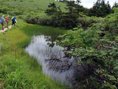 避難小屋付近の池塘 