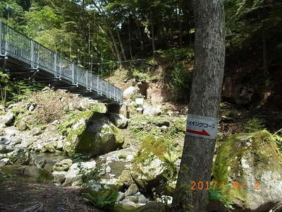 川俣川東沢獅子岩橋 