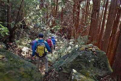 荒れた登山道