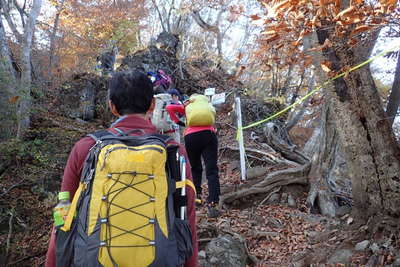 尾根コースで下山 