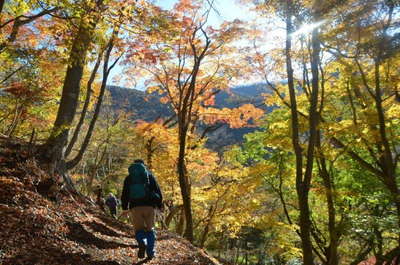 ツツジ新道の紅葉 