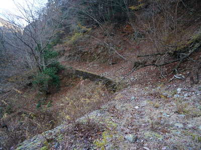 左岸の工事用林道跡 