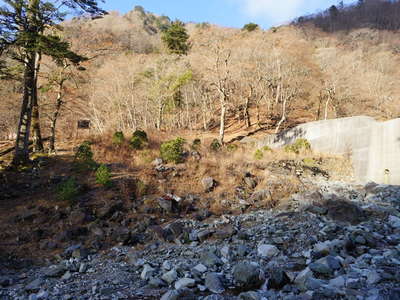 南尾根取付きから西沢右岸 