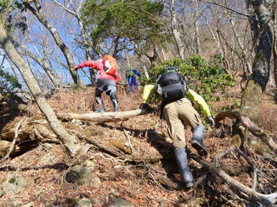 頂上までもう少し 