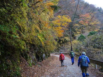 ユーシン渓谷の紅葉 